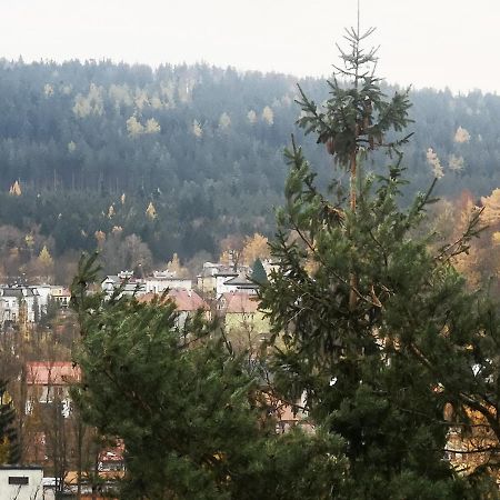 Appartement Irysek à Lądek-Zdrój Extérieur photo